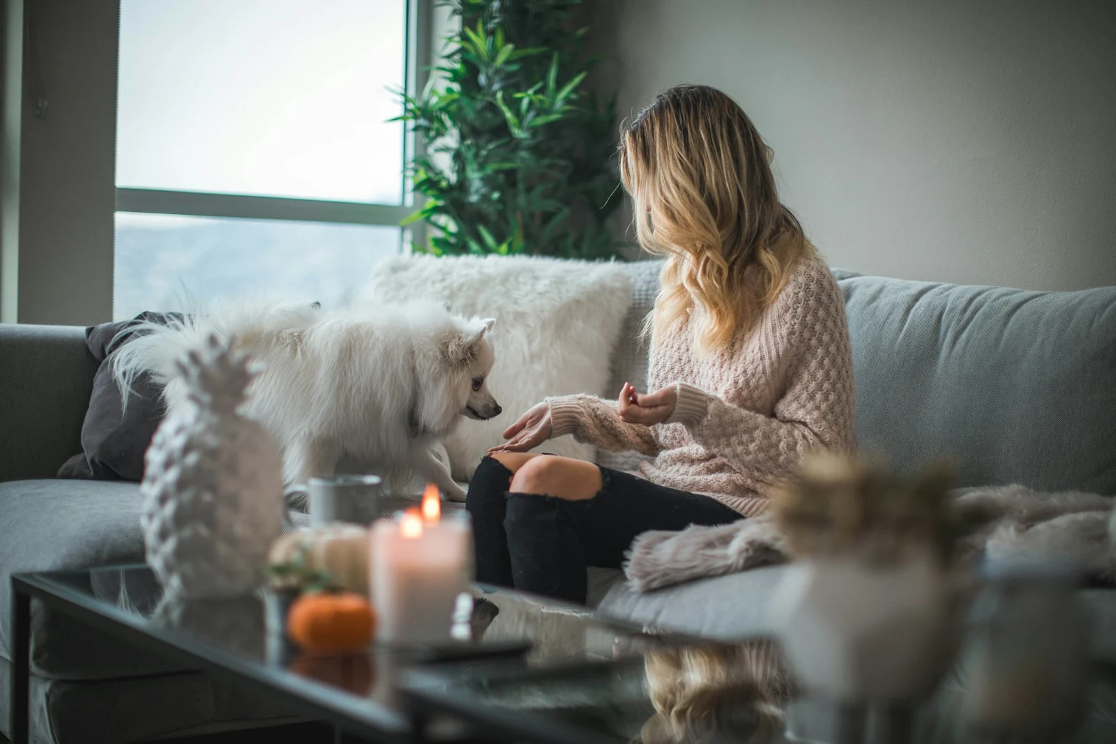 A dog owner offering food to her dog at home