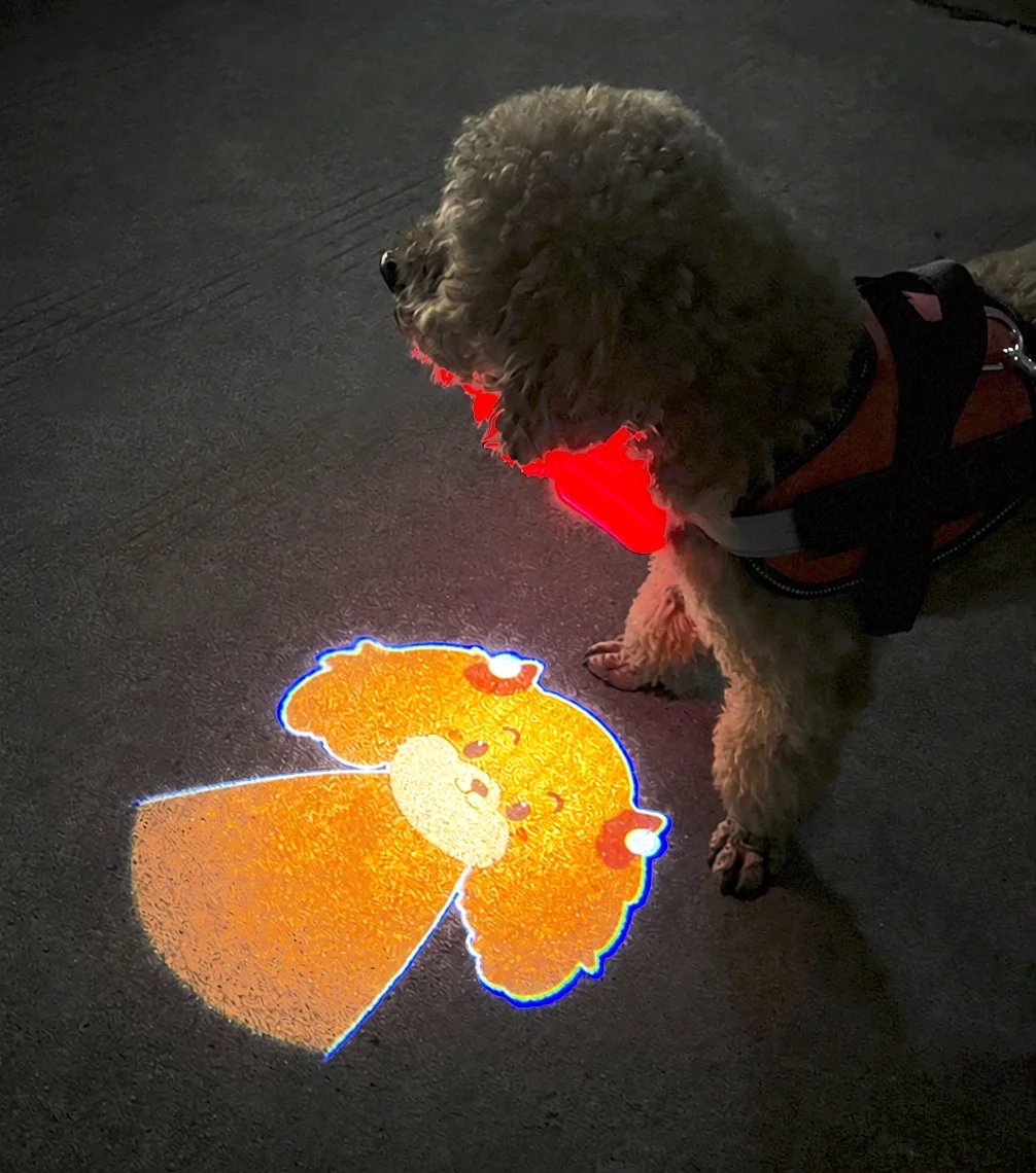 Collar Projection Light shown in the original product photograph